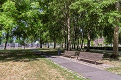 Foto bankjes met pad park.jpeg